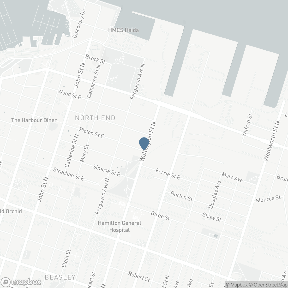 463 WELLINGTON STREET N, Hamilton, Ontario L8L 5B4